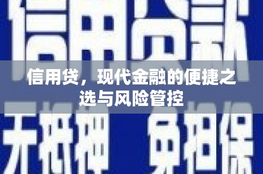 徐汇信用贷，现代金融的便捷之选与风险管控