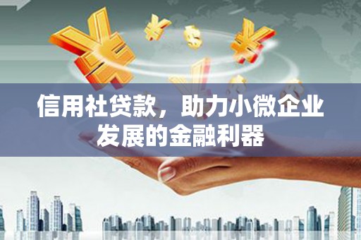 徐汇信用社贷款，助力小微企业发展的金融利器