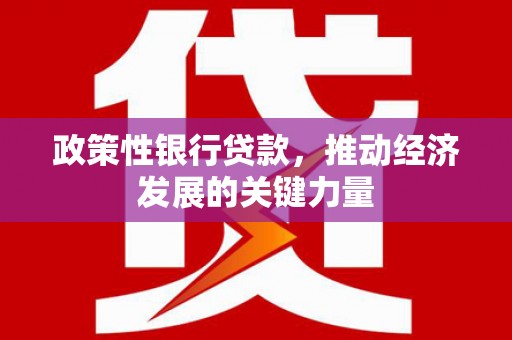 徐汇政策性银行贷款，推动经济发展的关键力量
