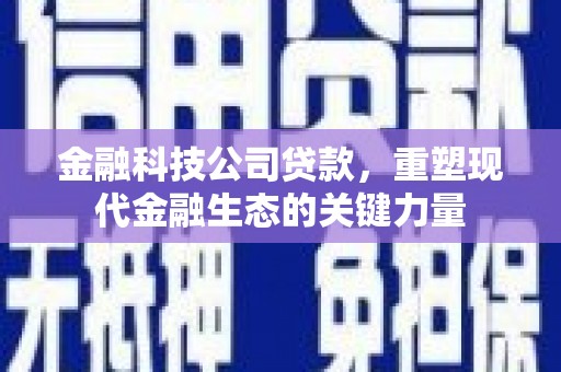 徐汇金融科技公司贷款，重塑现代金融生态的关键力量