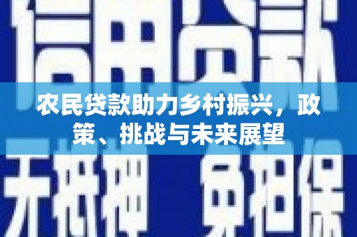 徐汇农民贷款助力乡村振兴，政策、挑战与未来展望