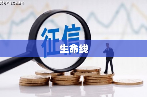 徐汇生命线