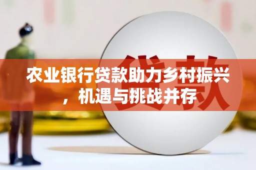 徐汇农业银行贷款助力乡村振兴，机遇与挑战并存