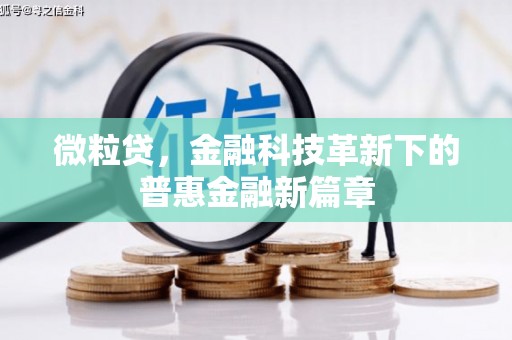 徐汇微粒贷，金融科技革新下的普惠金融新篇章
