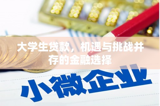 徐汇大学生贷款，机遇与挑战并存的金融选择