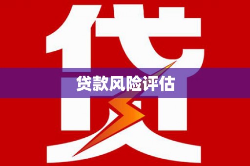 徐汇贷款风险评估