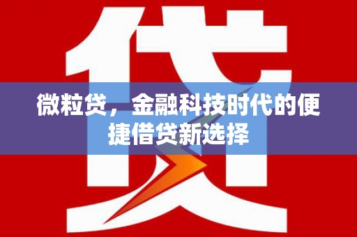 徐汇微粒贷，金融科技时代的便捷借贷新选择