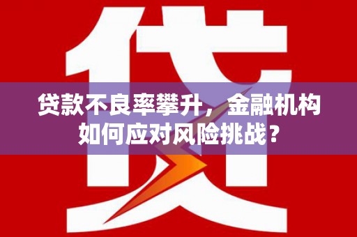 徐汇贷款不良率攀升，金融机构如何应对风险挑战？