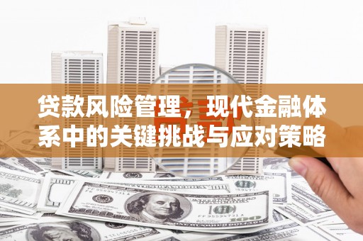 徐汇贷款风险管理，现代金融体系中的关键挑战与应对策略