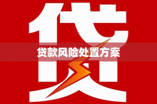 徐汇贷款风险处置方案