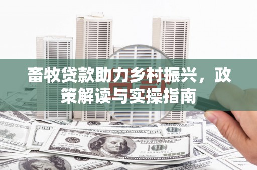 徐汇畜牧贷款助力乡村振兴，政策解读与实操指南