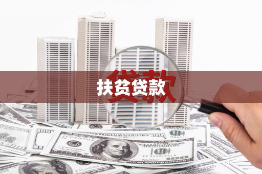 徐汇扶贫贷款