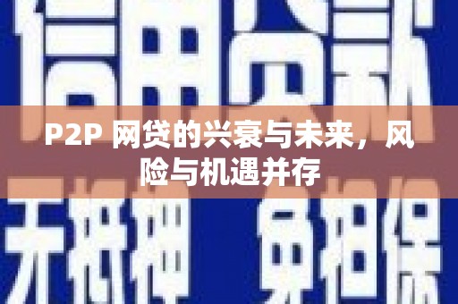 徐汇P2P 网贷的兴衰与未来，风险与机遇并存