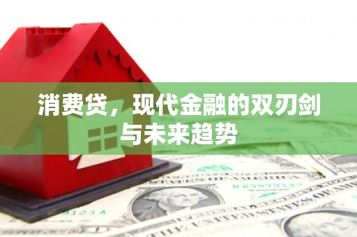 徐汇消费贷，现代金融的双刃剑与未来趋势