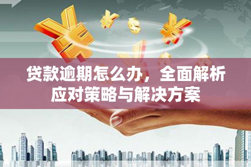 徐汇贷款逾期怎么办，全面解析应对策略与解决方案