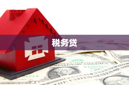 徐汇税务贷