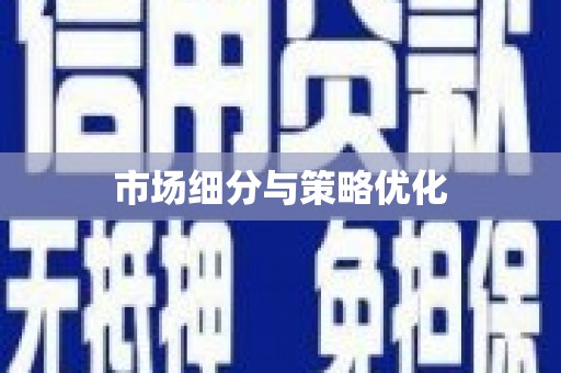 徐汇市场细分与策略优化
