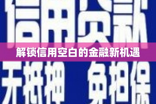 徐汇解锁信用空白的金融新机遇