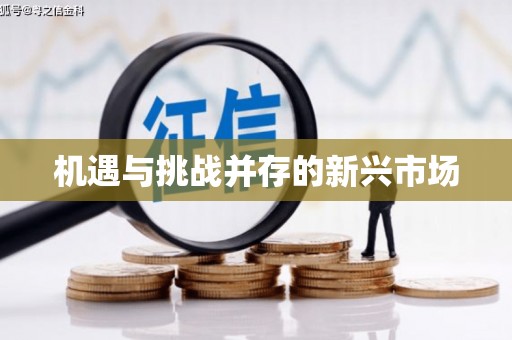 徐汇机遇与挑战并存的新兴市场