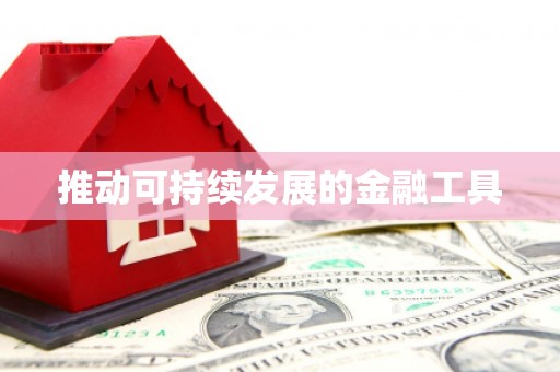 徐汇推动可持续发展的金融工具