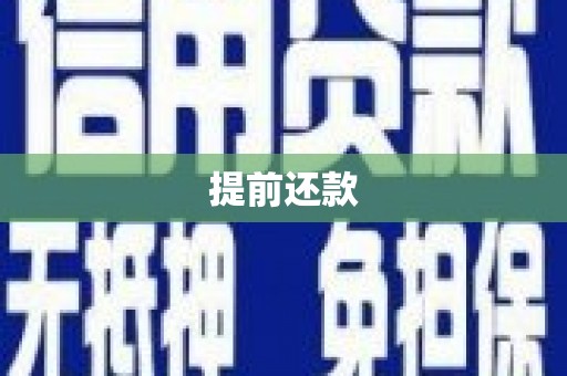 徐汇提前还款